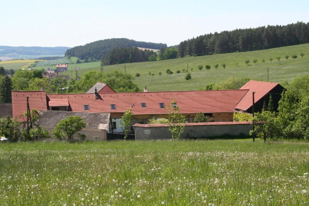 Podkrovi V Jihoceskem Statku Nemejice Buitenkant foto